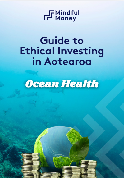Guide to Ethical Investing in Aotearoa — ocean cover